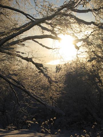 2010_talvikuvia 011.jpg